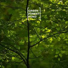 Fondo Bosque Verde I