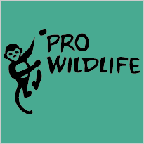 Pro Wildlife II - 24-Gute-Taten für die Affen in Peru